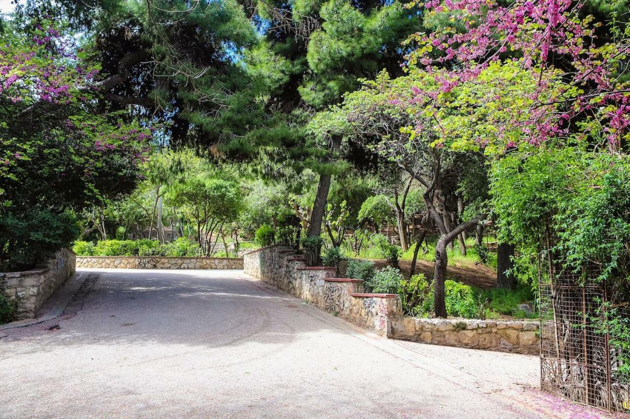 Charming Apartment Near Panathenaic Stadium Atenas Exterior foto